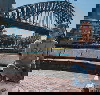 Sydney Private Tours by Locals 100 Personalized See the City Unscripted - Accommodation Perth