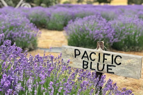 Kangaroo Island Food And Wine Trail Tour - Accommodation Perth 0