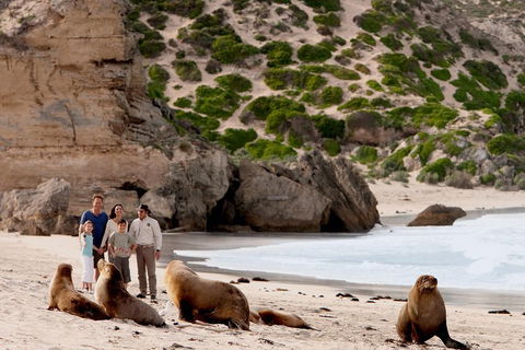 Kangaroo Island Scenic Trail Tour - Accommodation Perth 5