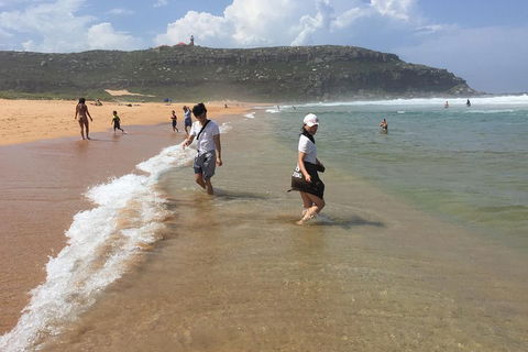 Small-Group Sydney's Northern Beaches And Ku-ring-gai National Park Bus Tour - Accommodation Perth 5