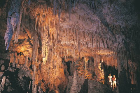 4 Day Tour: Albany, Margaret River, Valley Of The Giants TreeTop Walk From Perth - Accommodation Perth 1
