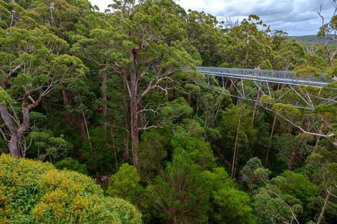 4 Day Tour: Albany, Margaret River, Valley Of The Giants TreeTop Walk From Perth - Accommodation Perth 4