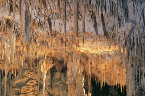 Margaret River, Caves, Wine And Cape Leeuwin Lighthouse Tour From Perth - Accommodation Perth 3