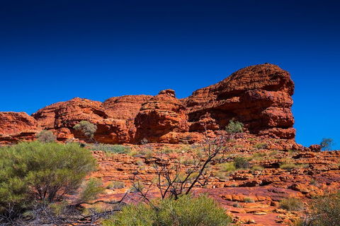 7-Day Guided Tour Of Alice Springs With Accommodation Included - Accommodation Perth 4