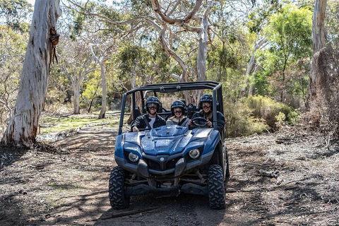 Small-Group Buggy Tour At Little Sahara With Guide - Accommodation Perth 0