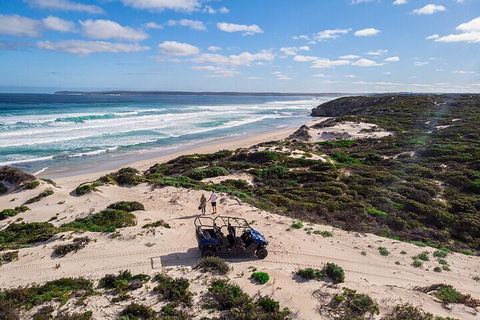 Small-Group Buggy Tour At Little Sahara With Guide - Accommodation Perth 1