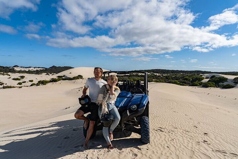 Small-Group Buggy Tour At Little Sahara With Guide - Accommodation Perth 2