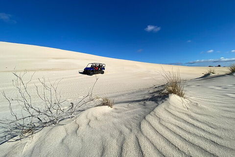 Small-Group Buggy Tour At Little Sahara With Guide - Accommodation Perth 3