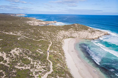 Small-Group Buggy Tour At Little Sahara With Guide - Accommodation Perth 4