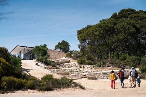 2-Hour Koala Walking Tour In Kangaroo Island - Accommodation Perth 3