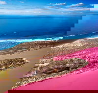 Pink Lake Small-Group Buggy Tour - Perth Resorts