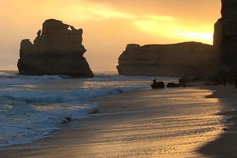 Great Ocean Road Small-Group Ecotour From Melbourne - Accommodation Perth 5