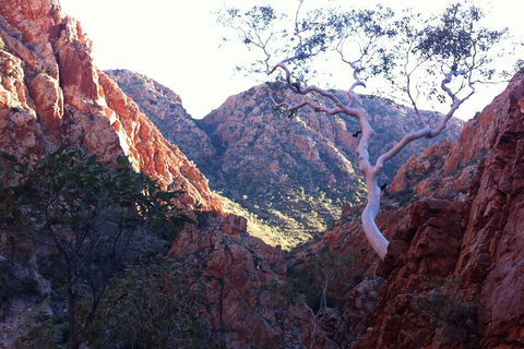 West MacDonnell Private Tour With Transfer - Accommodation Perth 3
