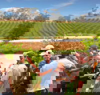Yarra Valley Wine and Winery Tour from Melbourne - Accommodation Perth