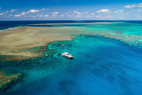 Calypso Outer Great Barrier Reef Cruise From Port Douglas - Accommodation Perth 1