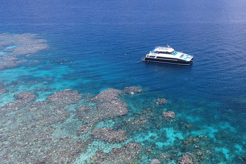 Calypso Outer Great Barrier Reef Cruise From Port Douglas - Accommodation Perth 4