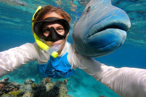 Calypso Outer Great Barrier Reef Cruise From Port Douglas - Accommodation Perth 5