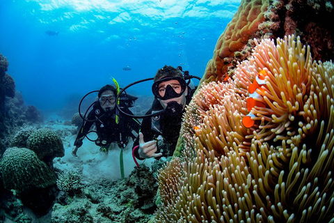 Full Day Reef Cruise Including 10 Minute Heli Scenic Flight: Get High Package - Accommodation Perth 5