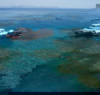Cruise to Moore Reef Pontoon and Return Helicopter Flight from Cairns - Accommodation Perth