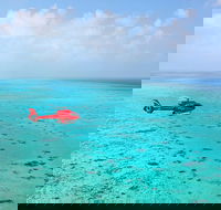 Port Douglas Scenic Flights - Accommodation Perth