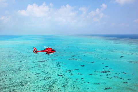 Port Douglas Scenic Flights - Accommodation Perth 0