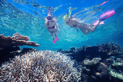 Cruise Out And Cruise Return, Plus 10 Minute Scenic Flight - Accommodation Perth 5