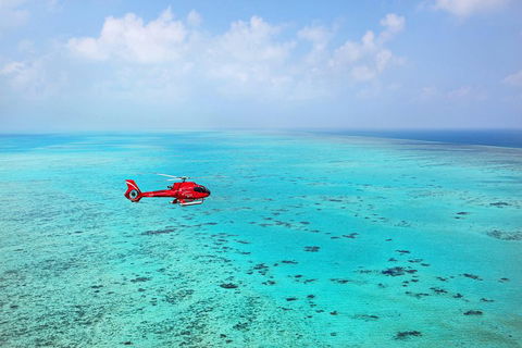 Port Douglas - Cruise And 10 Minute Scenic Flight - Accommodation Perth 1