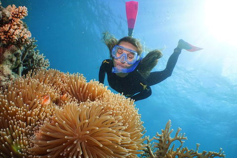 Port Douglas - Cruise And 10 Minute Scenic Flight - Accommodation Perth 3