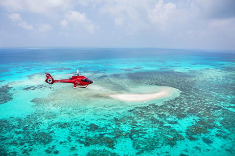 Ultimate Great Barrier Reef And Rainforest 45-minute Helicopter Tour - Accommodation Perth 3