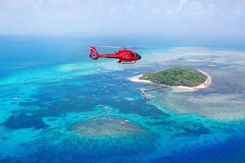 Ultimate Great Barrier Reef And Rainforest 45-minute Helicopter Tour - Accommodation Perth 4