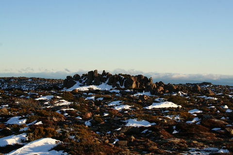 Mt. Wellington, Bonorong And Richmond Day Tour From Hobart - Accommodation Perth 5