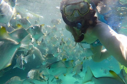 2-Day Moreton Island 4WD Camping Tour From Brisbane - Accommodation Perth 0