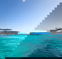 Fremantle to Rottnest Island Roundtrip Ferry Ticket - Accommodation Perth