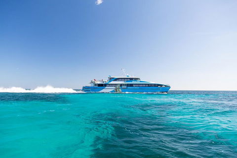 Fremantle To Rottnest Island Roundtrip Ferry Ticket - Accommodation Perth 0