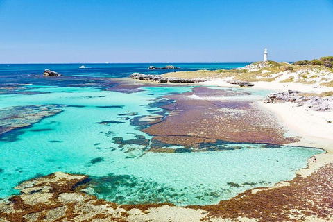 Fremantle To Rottnest Island Roundtrip Ferry Ticket - Accommodation Perth 2