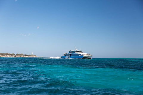 Fremantle To Rottnest Island Roundtrip Ferry Ticket - Accommodation Perth 5