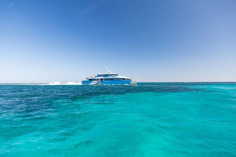 Rottnest Island Bike & Ferry Package From Fremantle - Accommodation Perth 0