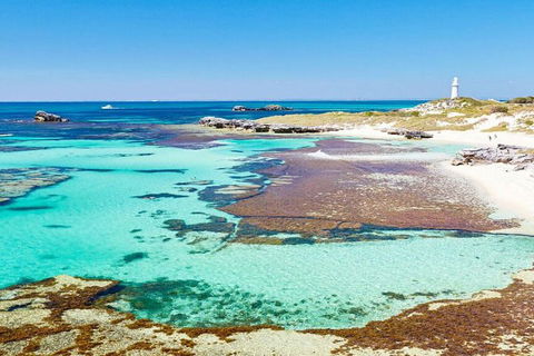 Rottnest Island Bike, Snorkel & Ferry Package From Perth - Accommodation Perth 5