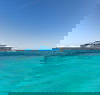 Rottnest Island Bayseeker Day Trip from Perth - Accommodation Perth