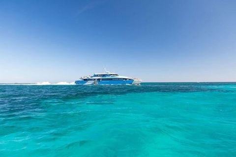 Rottnest Island Bayseeker Day Trip From Perth - Accommodation Perth 0