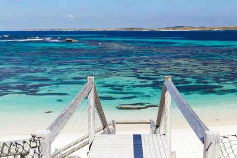Rottnest Island Bayseeker Day Trip From Perth - Accommodation Perth 3