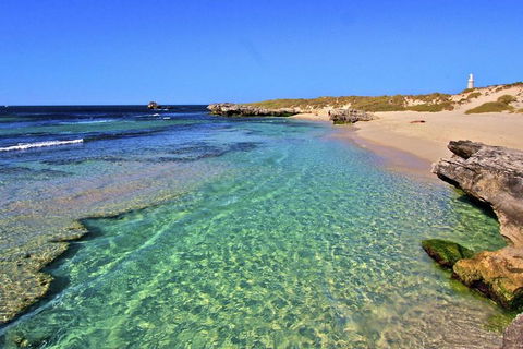 Rottnest Island Bayseeker Day Trip From Perth - Accommodation Perth 5