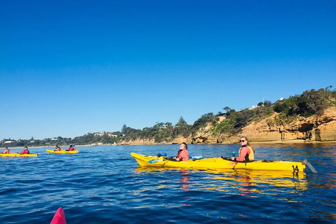 Mornington Peninsula Kayak Coastline Tour Of Dolphin Sanctuary - Accommodation Perth 1