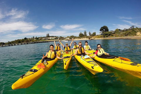 Mornington Peninsula Kayak Coastline Tour Of Dolphin Sanctuary - Accommodation Perth 2