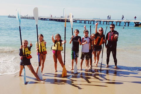 Mornington Peninsula Kayak Coastline Tour Of Dolphin Sanctuary - Accommodation Perth 3