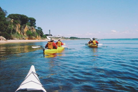Mornington Peninsula Kayak Coastline Tour Of Dolphin Sanctuary - Accommodation Perth 5