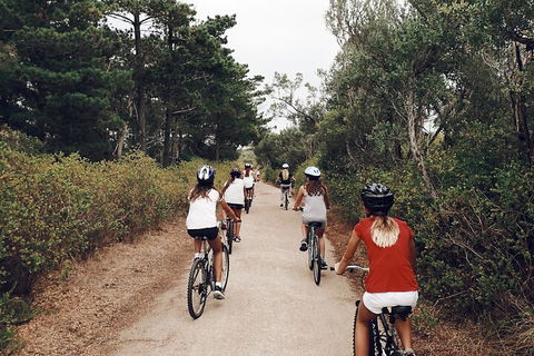Self-Guided Point Nepean National Park Bike Hire - Accommodation Perth 3
