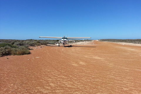 Abrolhos Islands Scenic Flight & Snorkel Adventure From Perth - Accommodation Perth 3