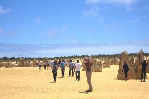 Pinnacles & Rottnest Island Scenic Air & Ground Tour - Accommodation Perth 3