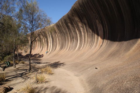 Wave Rock And Pinnacles Air & Ground Tour - Accommodation Perth 5